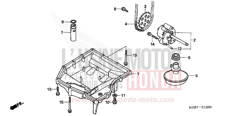 OELWANNE/OELPUMPE (CBF600S6/SA6/N6/NA6) von CBF600N ABS EMERGENCY RED METALLIC (R311) von 2006
